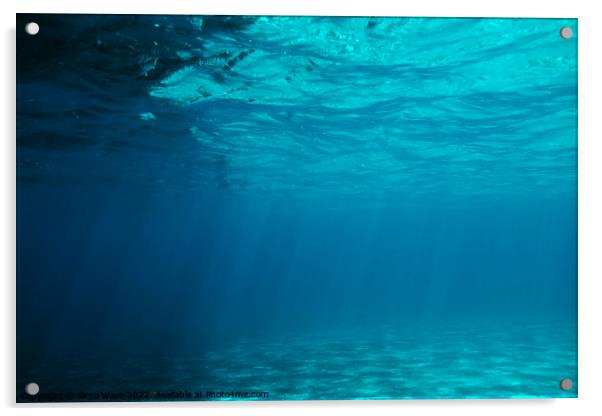 Clear Underwater Sea Background Acrylic by Simo Wave
