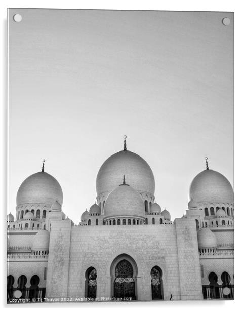 Sheikhzayed mosque Acrylic by Tj Thuvas