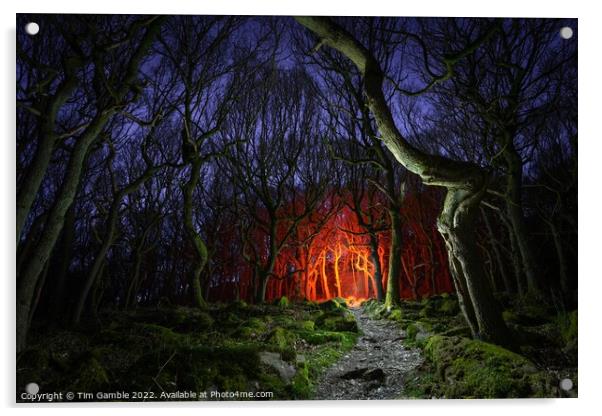 Fantasy Woodland Scene Acrylic by Tim Gamble