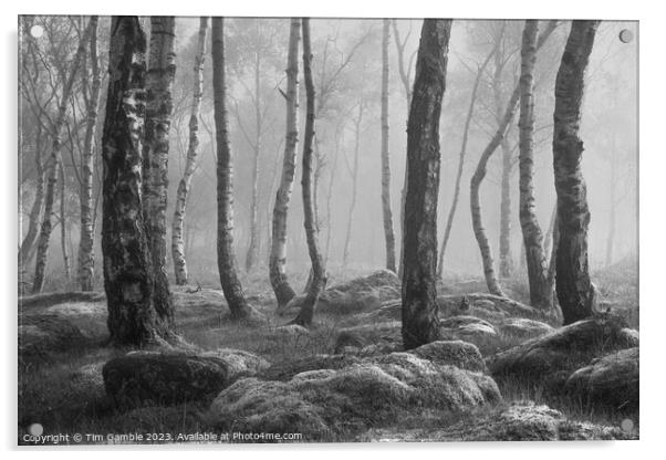 Black and White misty woodland scene Acrylic by Tim Gamble