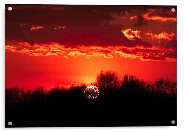 Norfolk Sunset - 1 Acrylic by Roman Czajkowski