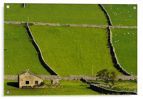 Barn in the Dales Acrylic by Chris Walker