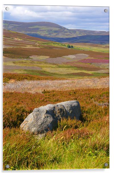 Scottish Moorland Acrylic by Chris Walker
