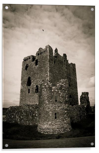  Threave Castle, Scotland Acrylic by Chris Walker