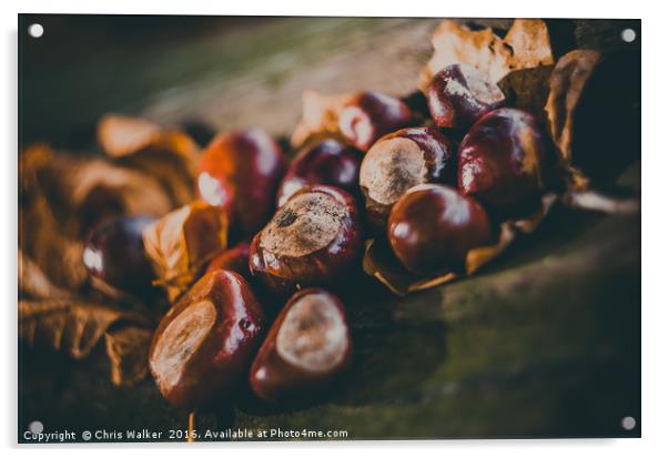 Conkers on a log Acrylic by Chris Walker