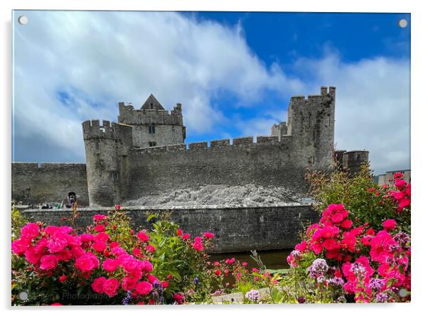 Outdoor cahir castle Tipperary Ireland  Acrylic by aileen stoddart
