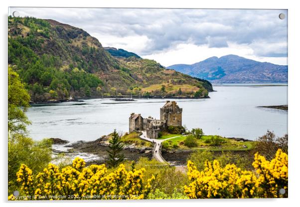 Eilean Donan Castle from Hillside with 3 Sea Lochs (Loch Duich, Loch Long and Loch Aish) Acrylic by Dan Webster