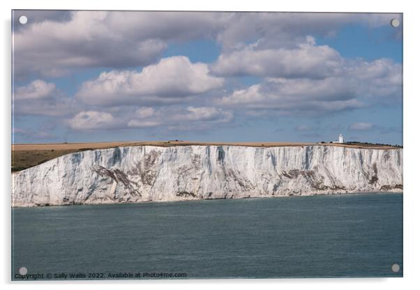 White Cliffs of Dover Acrylic by Sally Wallis