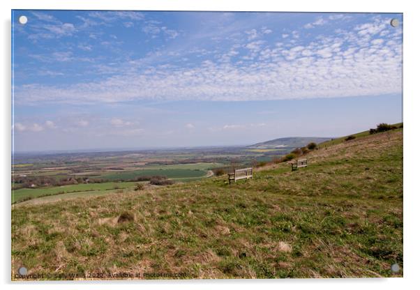 Look-out from South Downs Acrylic by Sally Wallis