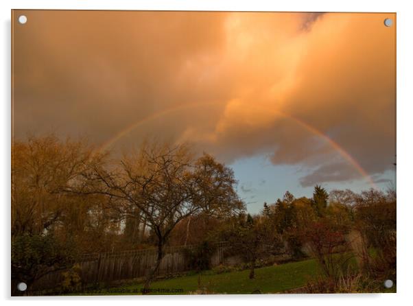 Full rainbow over garden Acrylic by Sally Wallis