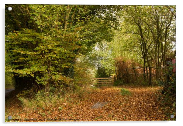 Gate and autumn coloured leaves Acrylic by Sally Wallis