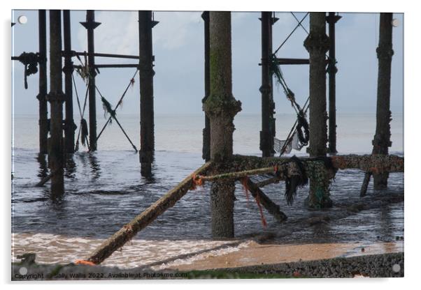 Beneath Hastings Pier Acrylic by Sally Wallis