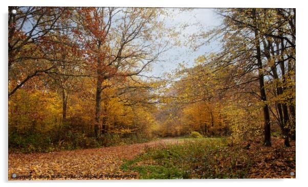 Autumn Forest crossroads Acrylic by Sally Wallis