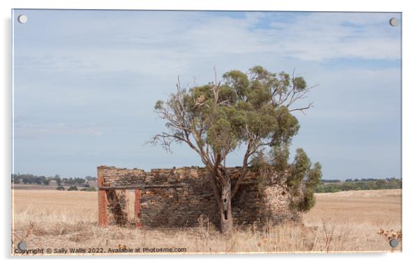 Ruined building South Australia Acrylic by Sally Wallis