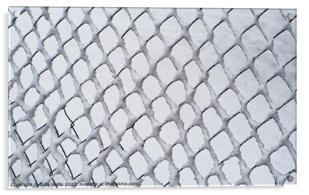 Snow on Chain Link Fencing Acrylic by Sally Wallis