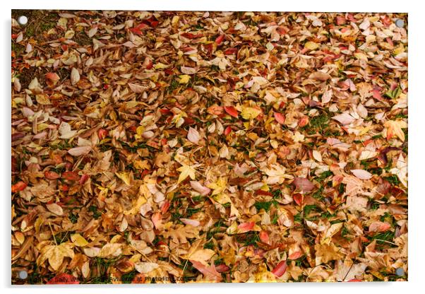 Fallen autumn leaves Acrylic by Sally Wallis