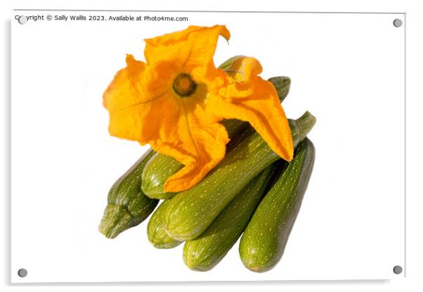 Zucchini and flower Acrylic by Sally Wallis