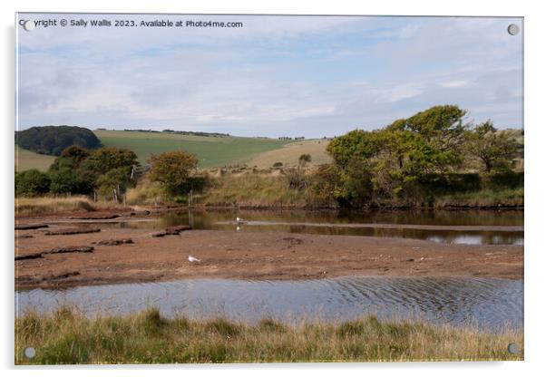 Cuckmere River low tide Acrylic by Sally Wallis