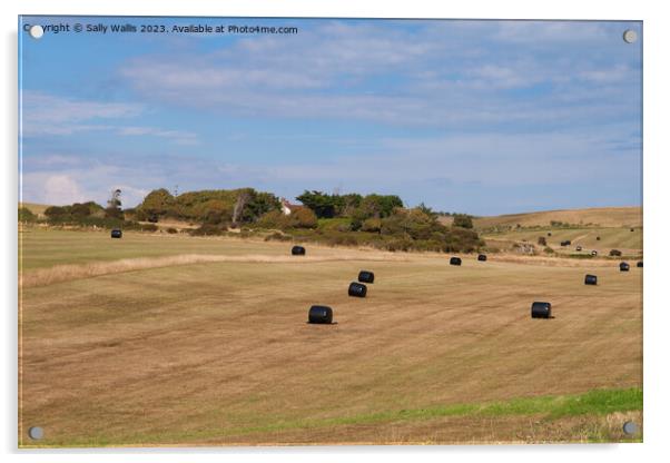 Harvested South Downs Fields Acrylic by Sally Wallis