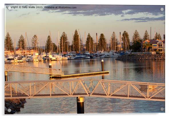 Adelaide Yacht basin Acrylic by Sally Wallis