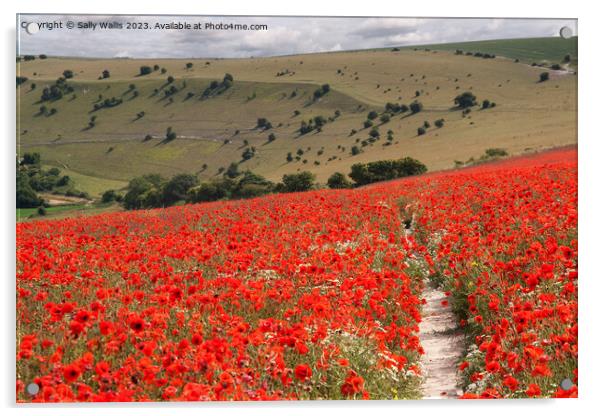 South Downs with Poppies Acrylic by Sally Wallis