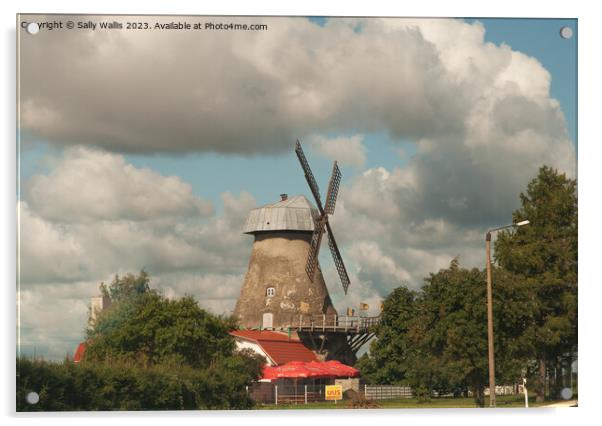 A Windmill beside the Highway Acrylic by Sally Wallis