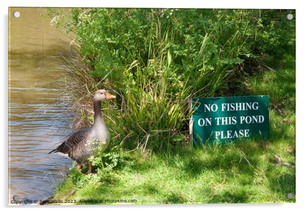 No Fishing ! Acrylic by Sally Wallis
