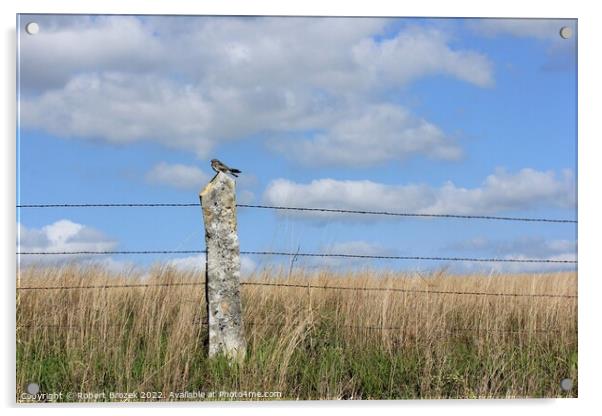 Night Hawk sleeping on a Stone Post on the Kansas  Acrylic by Robert Brozek