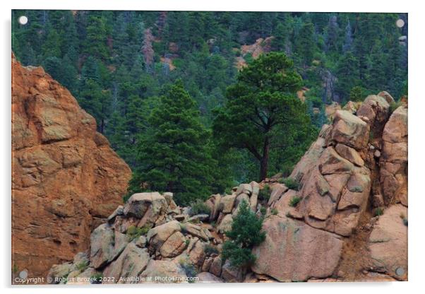 Colorado Rocky Mountains USA with tree's. Acrylic by Robert Brozek
