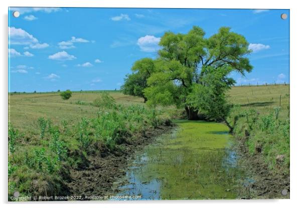 Plant tree in a field with water and blue sky Acrylic by Robert Brozek
