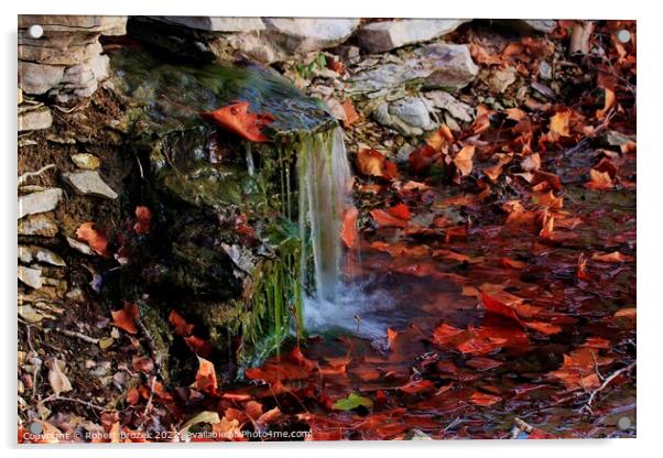 Waterfall with fall leaves, moss and rock closeup Acrylic by Robert Brozek