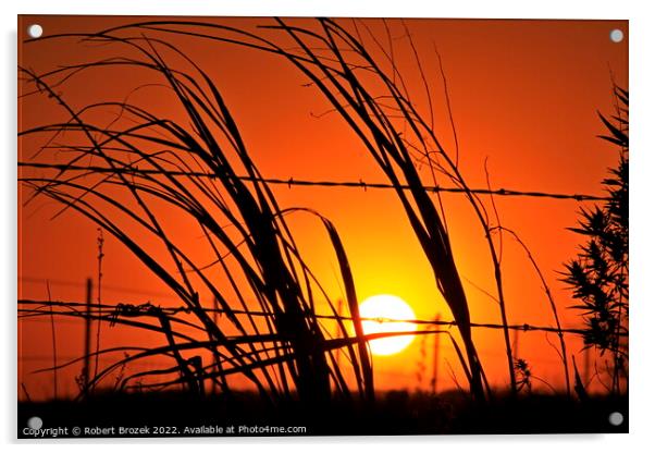 Kansas Sunset with a fence and grass silhouettes  Acrylic by Robert Brozek