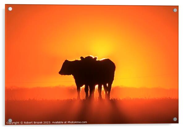 Cow silhouettes at Sunset. Acrylic by Robert Brozek