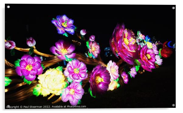 Colourful Abstract Flowers taken at Night Acrylic by Paul Stearman