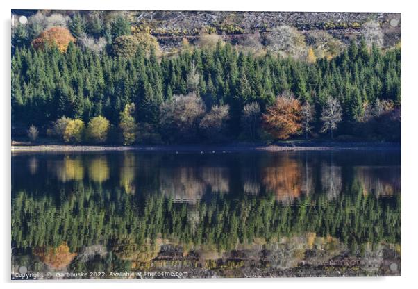 Reflections in Pontsticill Reservoir  Acrylic by  Garbauske