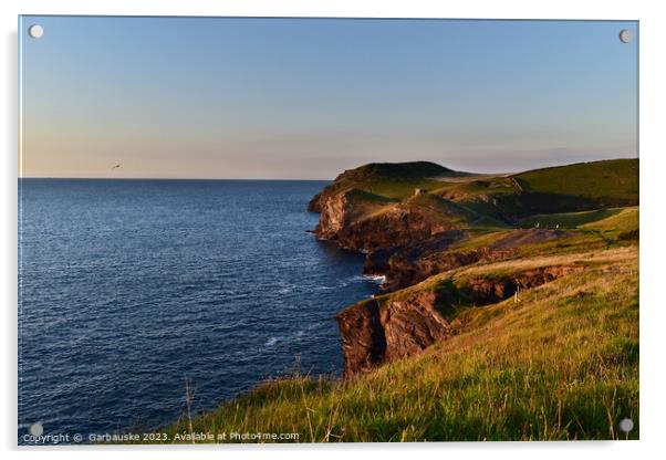 Sunset at Port Quin, North Cornwall Acrylic by  Garbauske