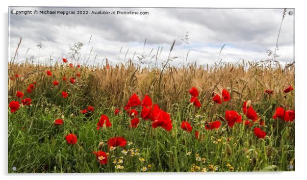 Beautiful red poppy flowers papaver rhoeas in a golden wheat fie Acrylic by Michael Piepgras