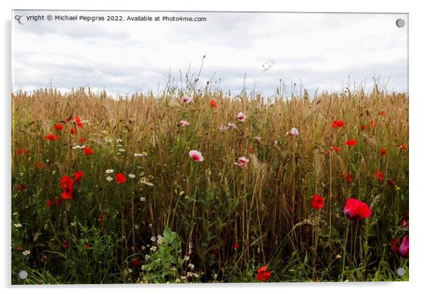 Beautiful red poppy flowers papaver rhoeas in a golden wheat fie Acrylic by Michael Piepgras