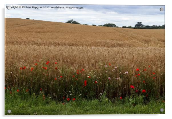 Beautiful red poppy flowers papaver rhoeas in a golden wheat fie Acrylic by Michael Piepgras