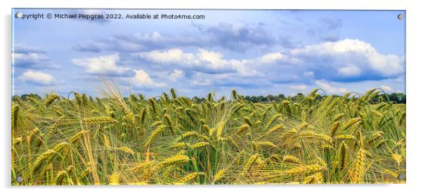 Beautiful panorama of agricultural crop and wheat fields on a su Acrylic by Michael Piepgras