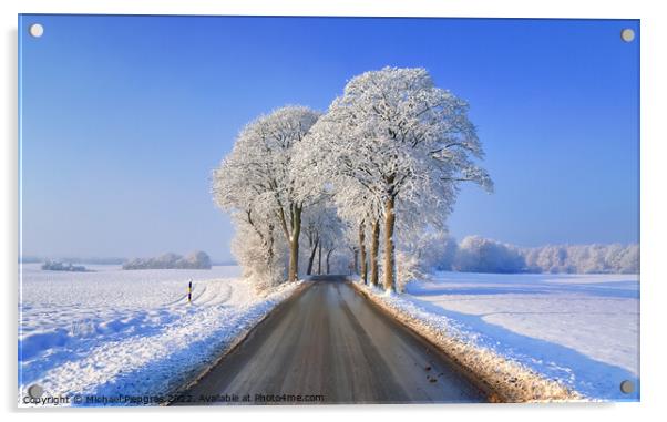 View of a snow-covered country road in winter with sunshine and  Acrylic by Michael Piepgras
