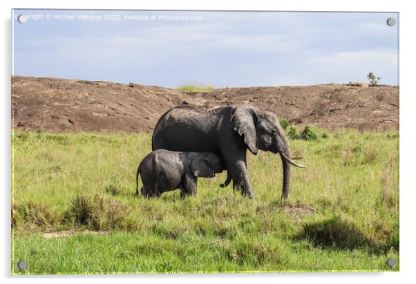 Wild elephants in the bushveld of Africa on a sunny day. Acrylic by Michael Piepgras