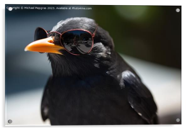A blackbird wearing sunglasses created with generative AI techno Acrylic by Michael Piepgras