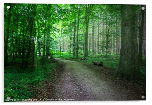 Mysterious view into a magical and spooky forest with light beam Acrylic by Michael Piepgras