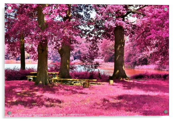 Beautiful pink and purple infrared panorama of a countryside lan Acrylic by Michael Piepgras