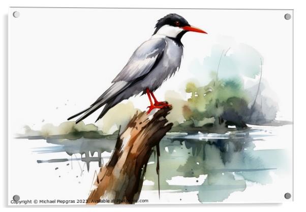Watercolor painted common tern on a white background. Acrylic by Michael Piepgras