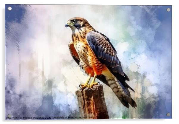 Watercolor painted merlin hawk on a white background. Acrylic by Michael Piepgras