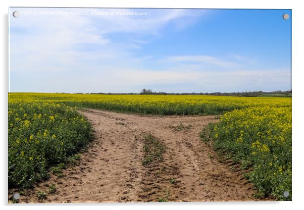 Tire tracks in a yellow field of flowering rape against a blue s Acrylic by Michael Piepgras