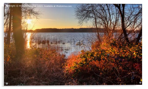 Beautiful and romantic sunset at a lake in yellow and orange col Acrylic by Michael Piepgras