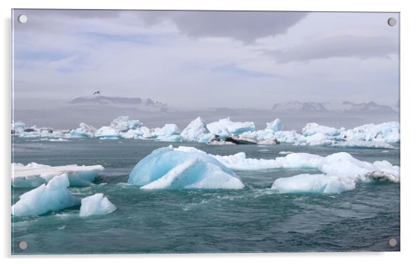 Iceland, Jokulsarlon Lagoon, Turquoise icebergs floating in Glacier Lagoon on Iceland. Acrylic by Michael Piepgras